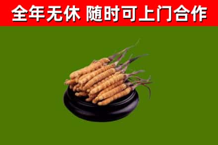 榆林市烟酒回收冬虫夏草.jpg